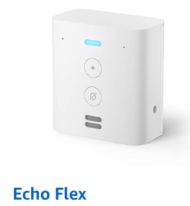 Echo Flexの画像